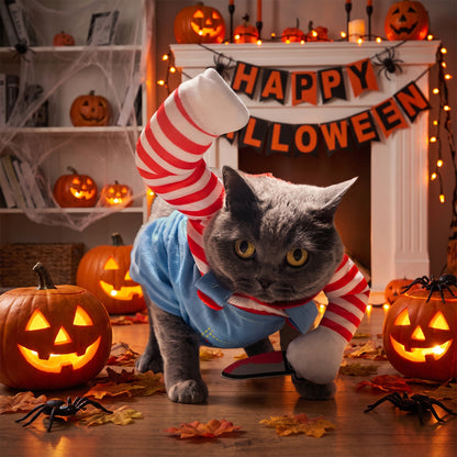 Disfraz de Halloween para Gatos